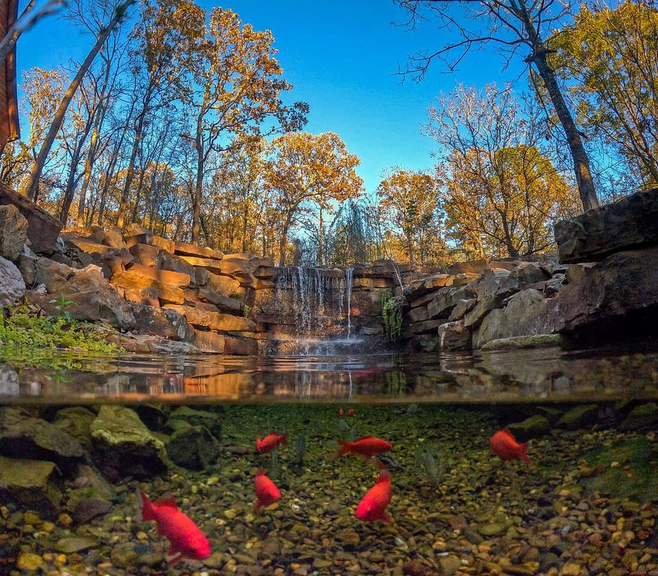 Can a cabin in Broken Bow with a waterfall like this really exist? Yes! And one of our guests, Angela was nice enough to prove it by sharing this pic! Listen to the sound of this waterfall. Feed the fish. It’s your own oasis at Restoration Falls. 