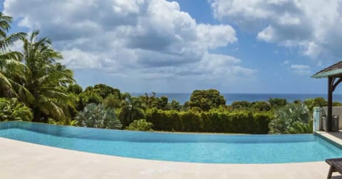 Java Bay - Westmoreland