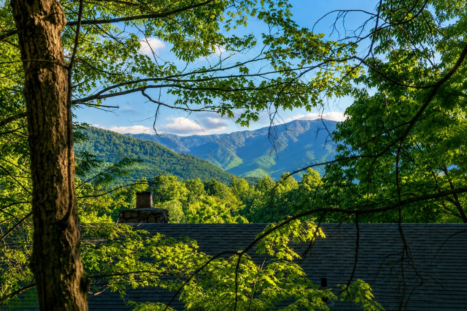 Mountain view from the street