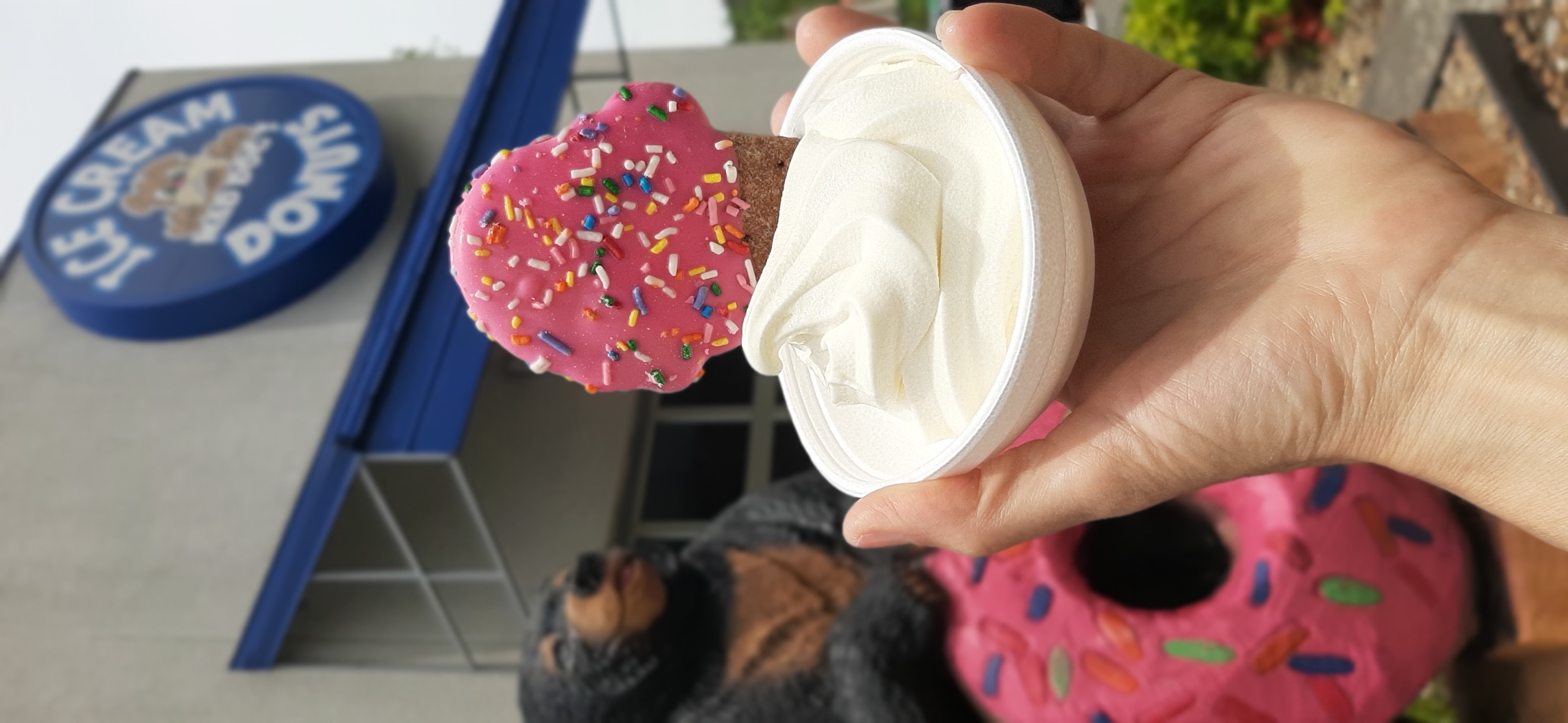 Ice Cream Donuts (10 min)