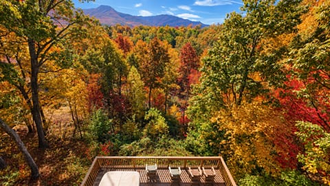 Mountainside Vista