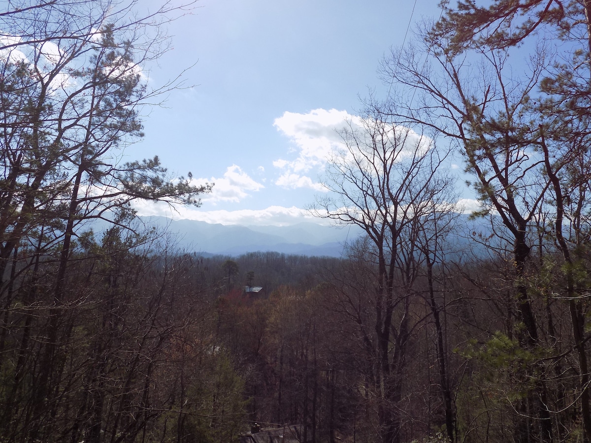 Two Owls and a View - Sevierville Two Owls and a View - Sevierville