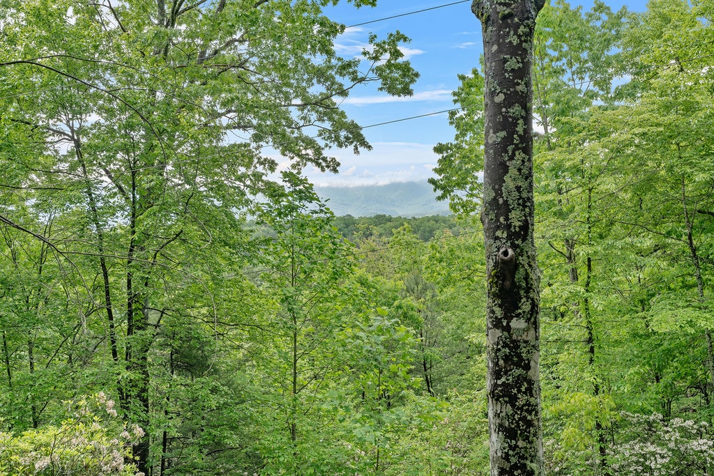 Two Owls and a View - Sevierville Two Owls and a View - Sevierville
