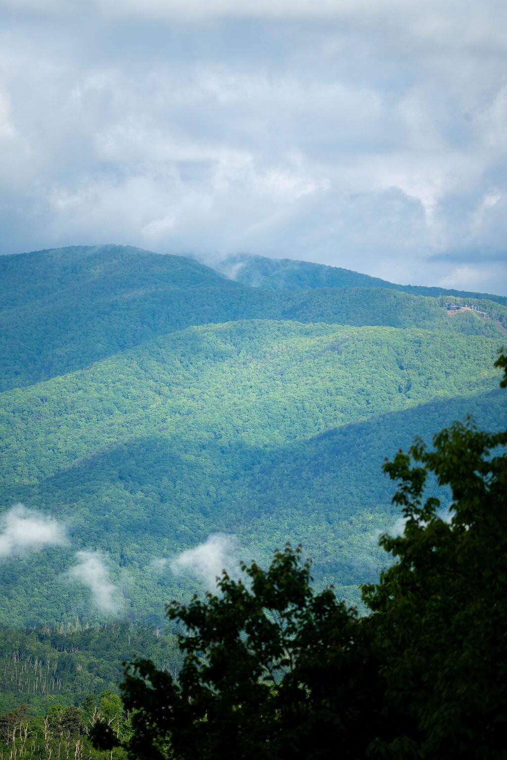 Two Owls and a View - Sevierville Two Owls and a View - Sevierville