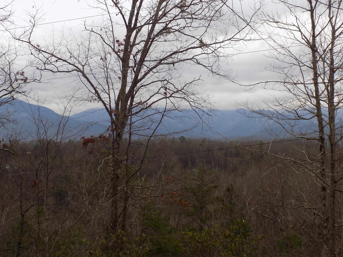 Two Owls and a View - Sevierville Two Owls and a View - Sevierville