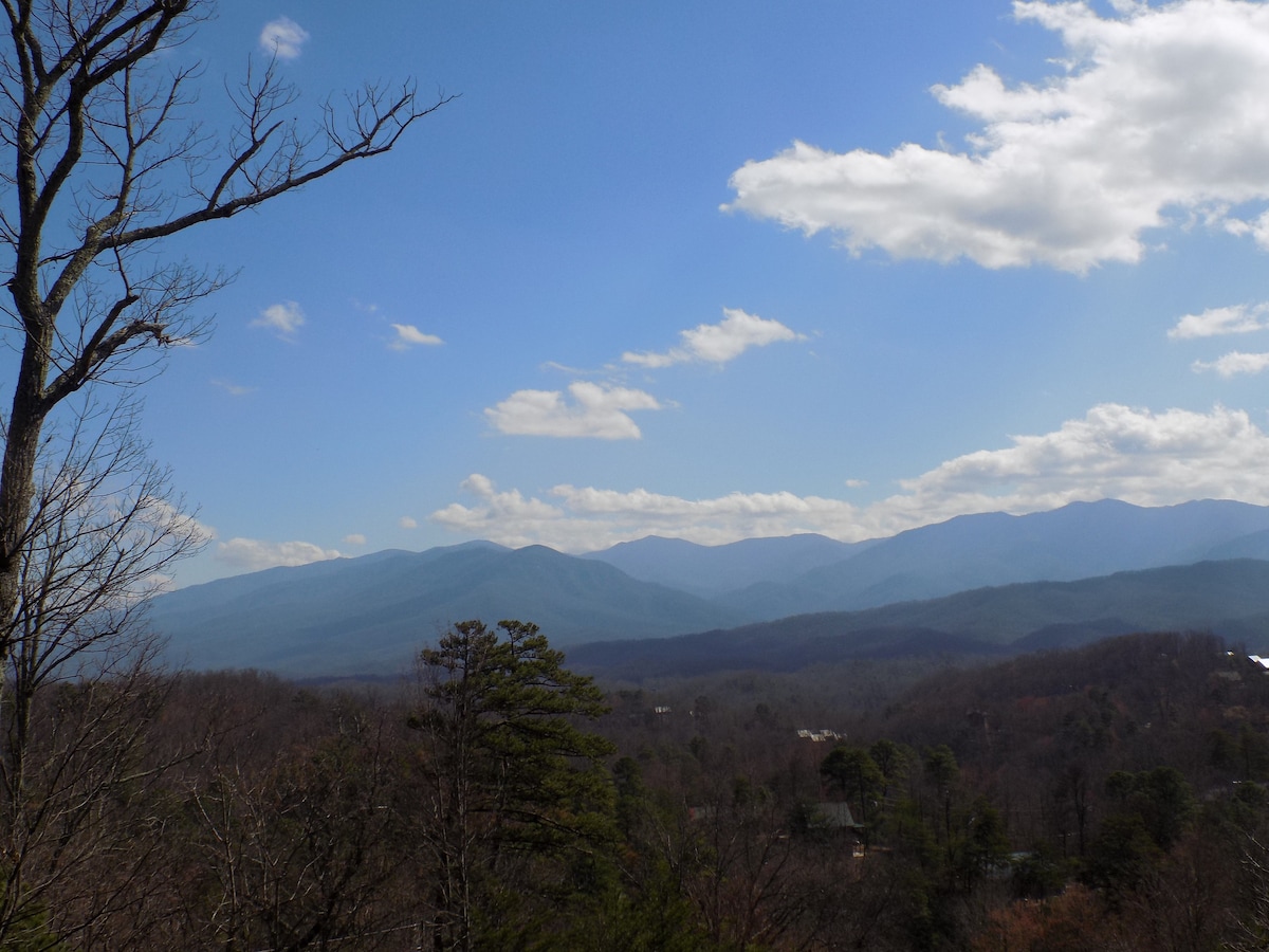 Two Owls and a View - Sevierville Two Owls and a View - Sevierville