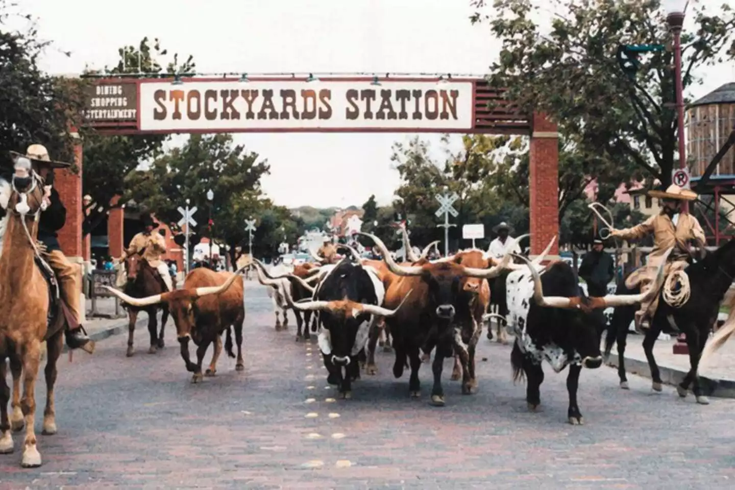 Fort Worth Stockyards - 28 minutes away Fort Worth Stockyards - 28 minutes away - The Hideaway - Cross Timber