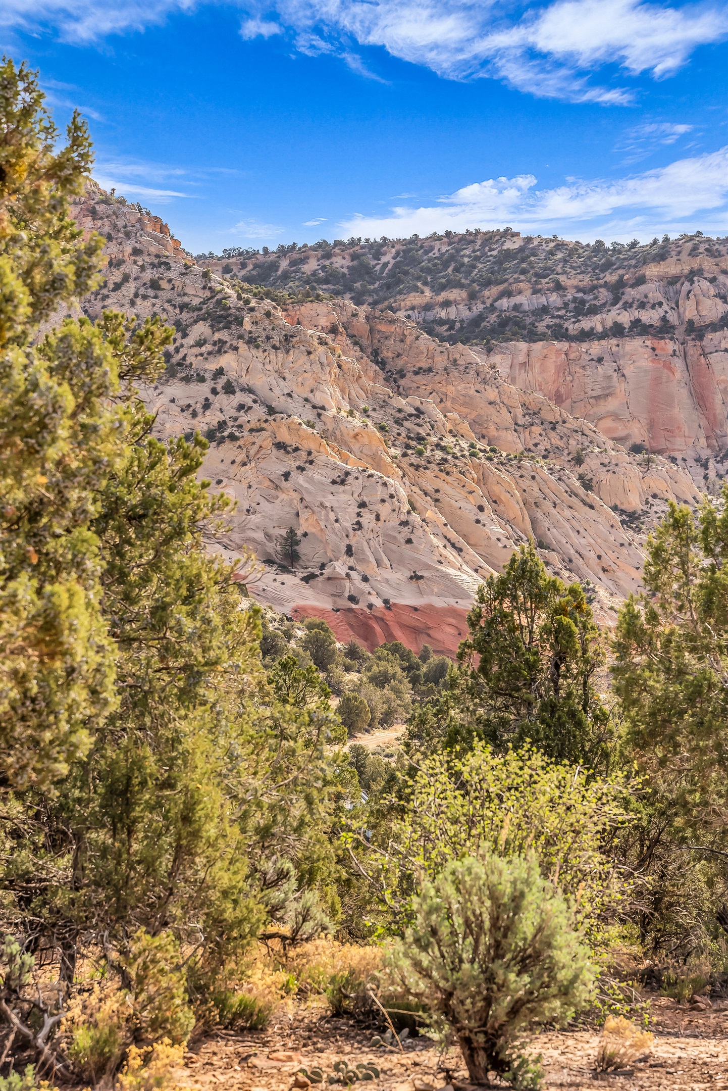 Red Hollow Ranch
