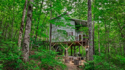 Peaceful Hideaway Treehouse