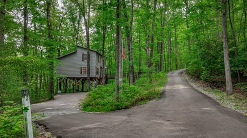 Peaceful Hideaway Treehouse