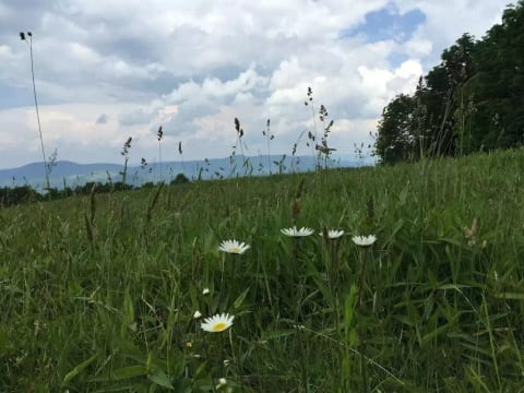 This secret place is in the neighborhood. At the top there are layered mountain view and on a clear day you can see a few states. Ask me where this is. 