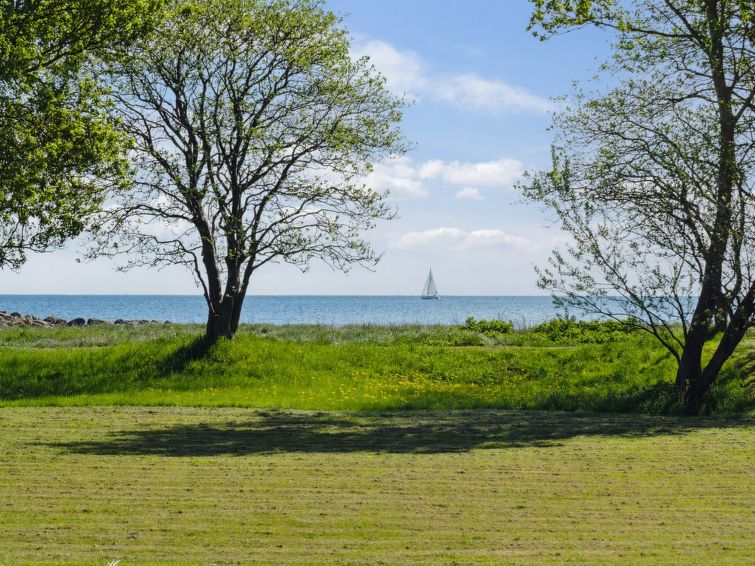 elba-100m-from-the-sea/