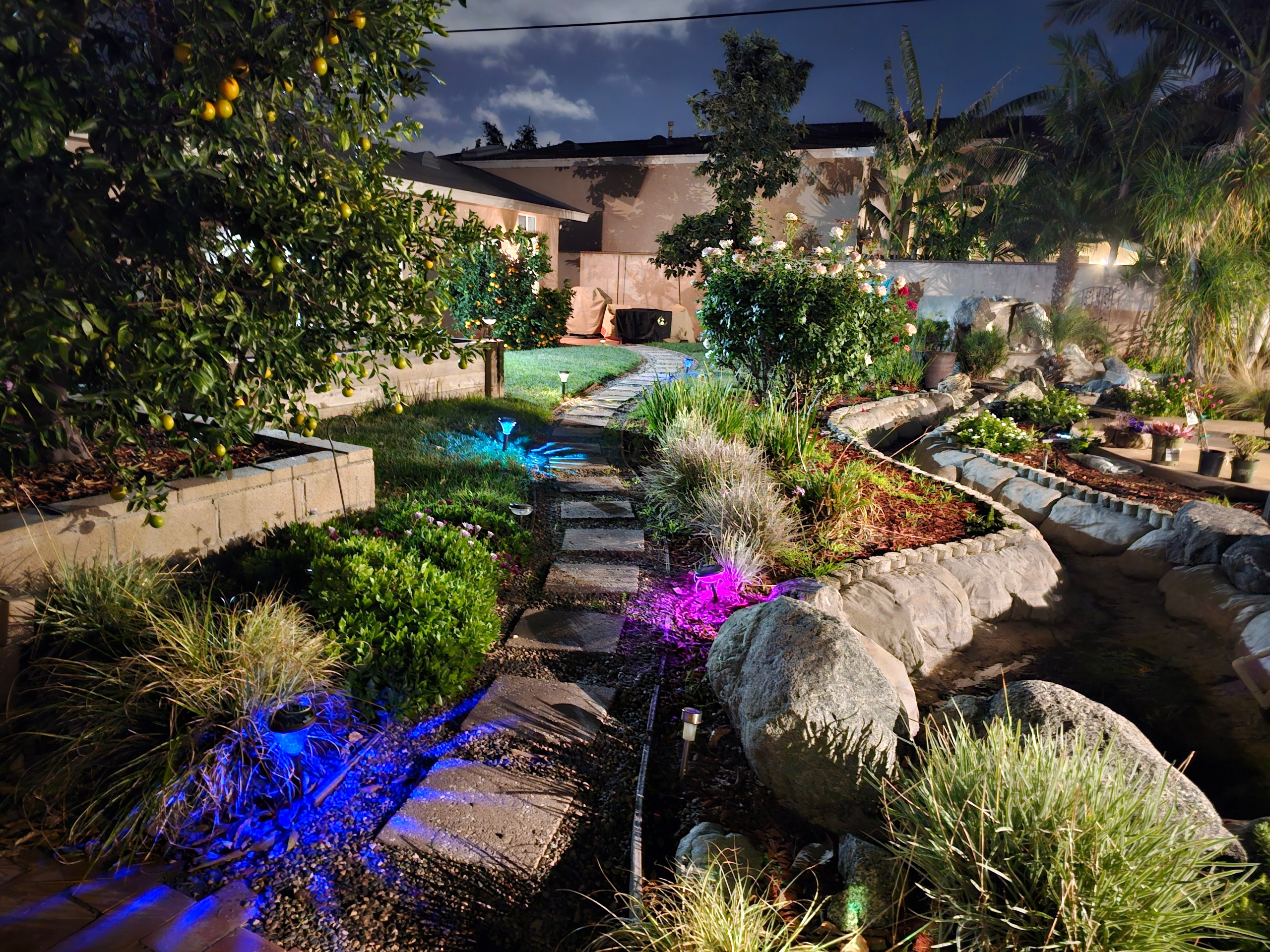 Evening Garden Pathway to Your Private Cottage Enchanting Garden Cottage In the Heart of the City