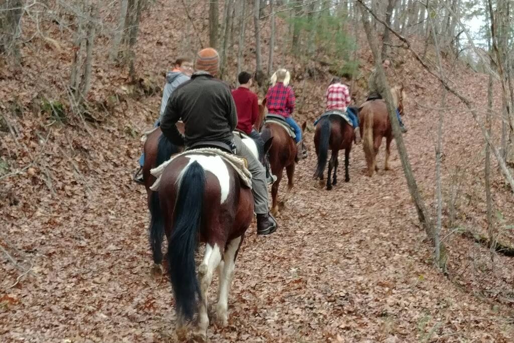 Horseback Riding in the Smokies Horseback Riding in the Smokies - Modern Farmhouse on Creek near Town/Train +Hot Tub - 28713