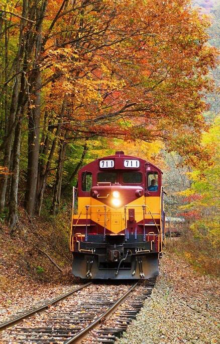 Great Smoky Mountains Railroad Great Smoky Mountains Railroad - Modern Farmhouse on Creek near Town/Train +Hot Tub - 28713