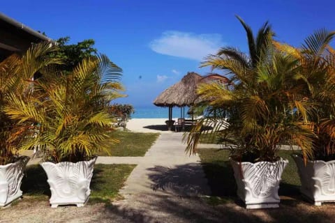 Crystal Waters Villas