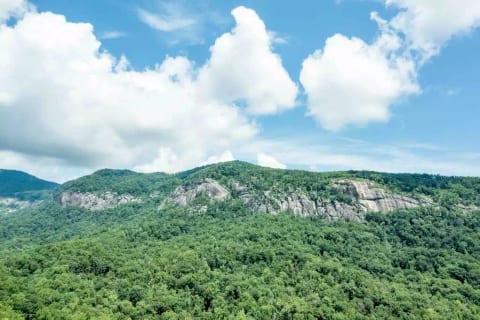 View from the back deck.