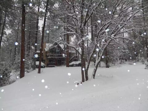 Let it snow, let it snow, let it snow!