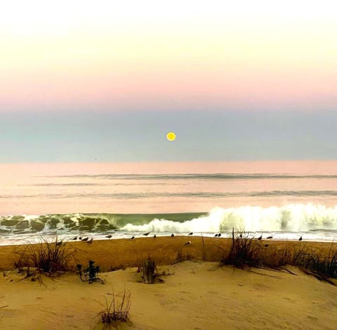 Harvest Moon during a November Sunset