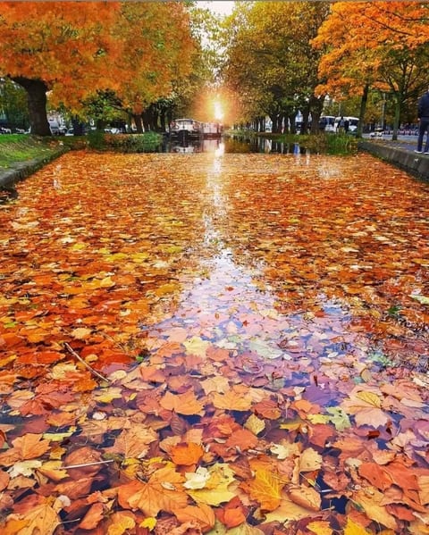 Grand Canal
