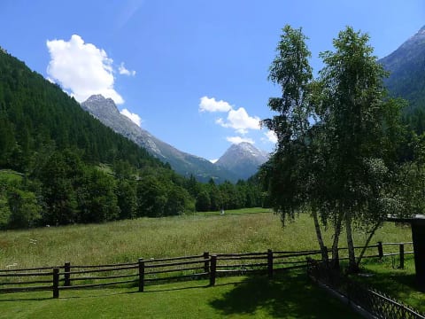 Amici