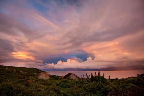 Mon Repos - The Baths Hill