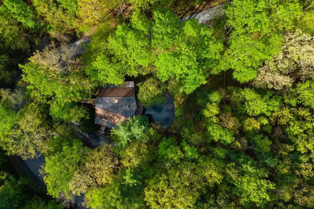 House over The Pond w/ Game Rooms, Views - Basye House over The Pond w/ Game Rooms, Views - Basye