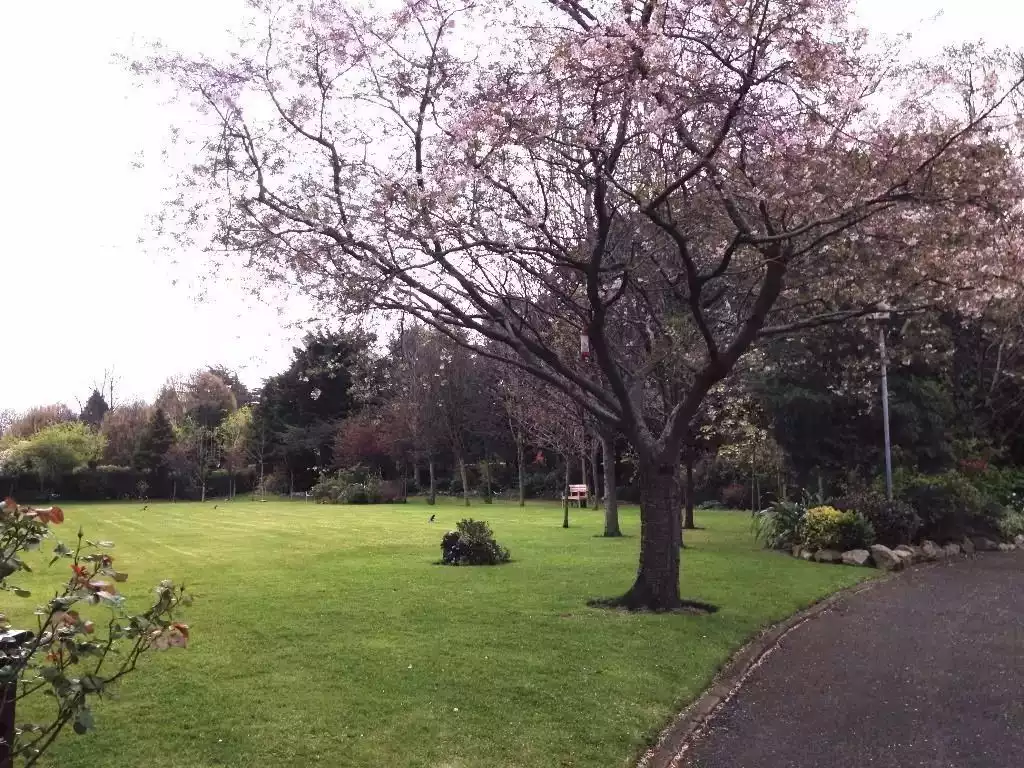 Shared garden - Dublinletfor2 Your home in the City - Dublin