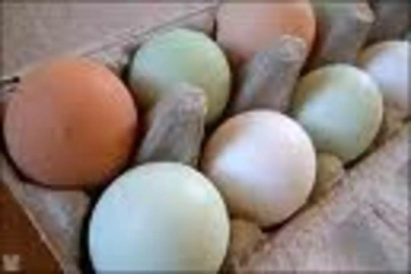 safari-tent-cabin-with-hottub-and-air-conditioning/