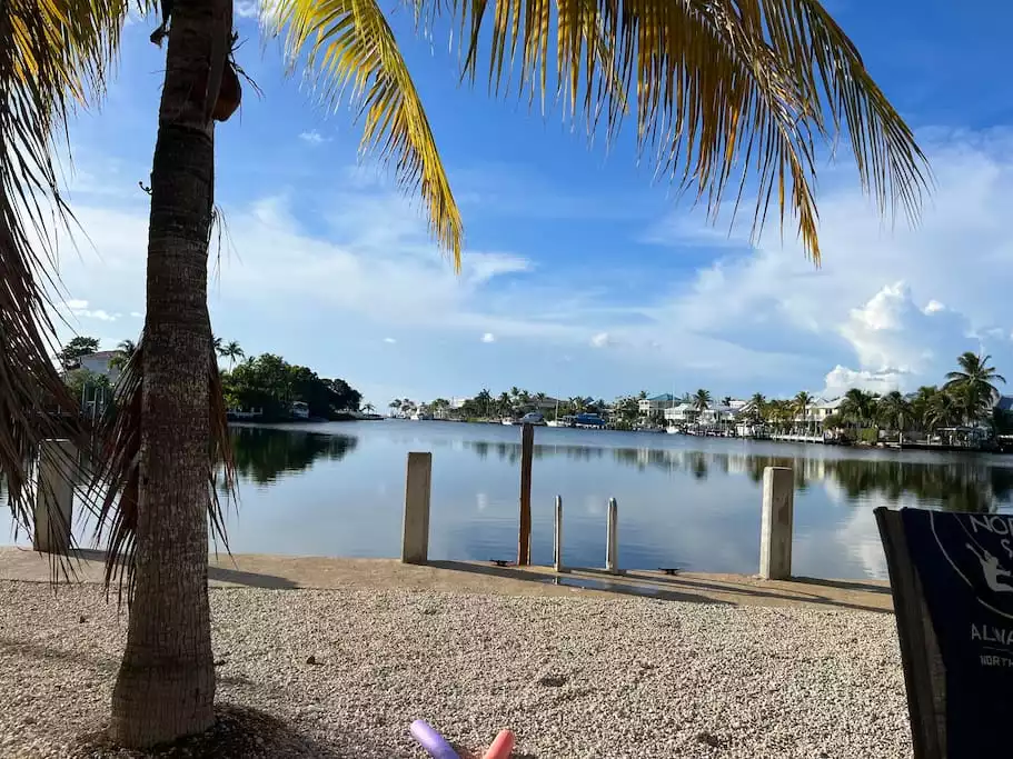 View of Cove from Backyard