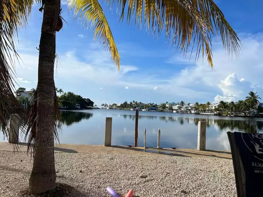 View of Cove from Backyard