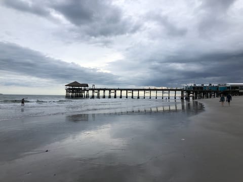 Michelina #201 Oceanview 3/3 Luxury Condo