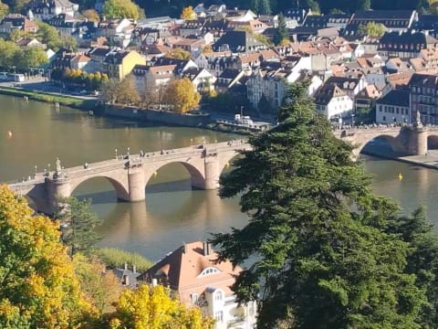 Old bridge over Neckar river