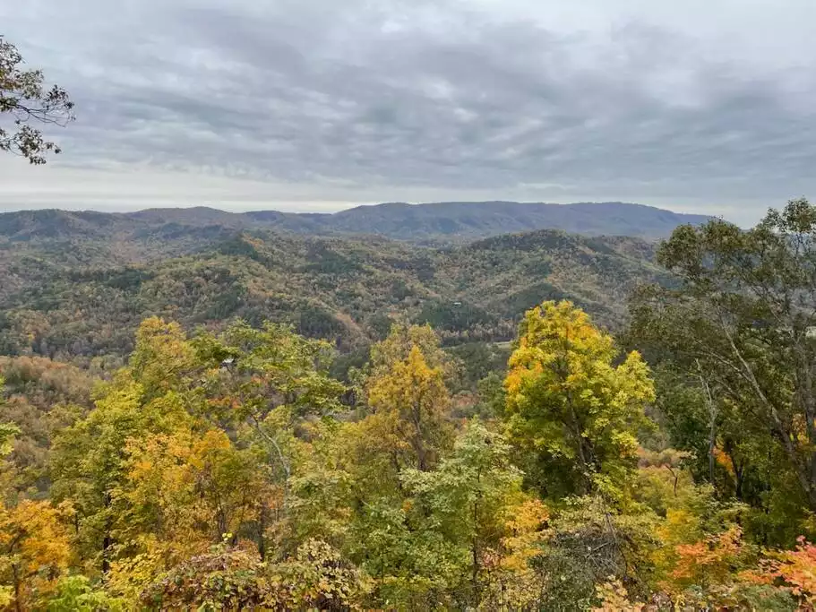 Fall view - Breathtaking View! Hot tub, fire pit, and swing! - Pigeon Forge