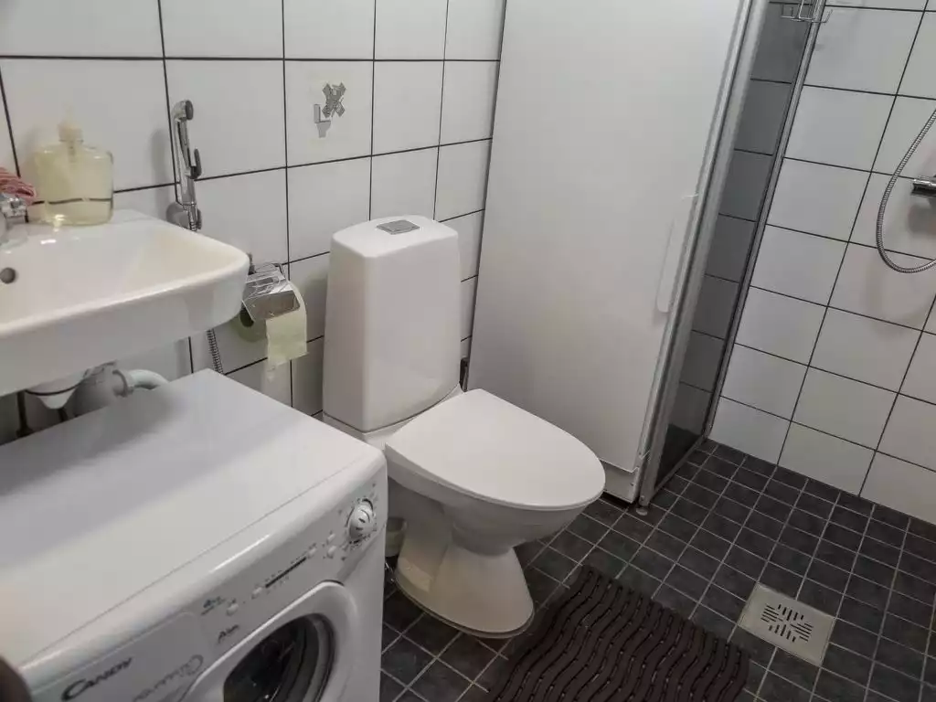 Pääsky