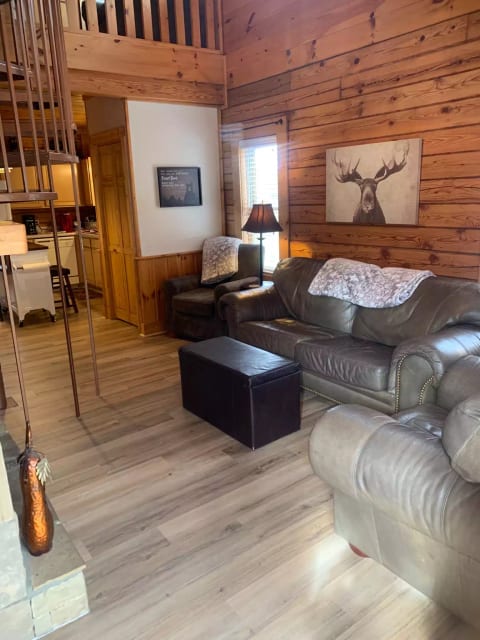 Main level living room with queen sleeper sofa