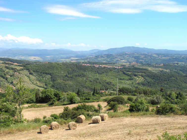 Place - Il Felciaione - Riparbella