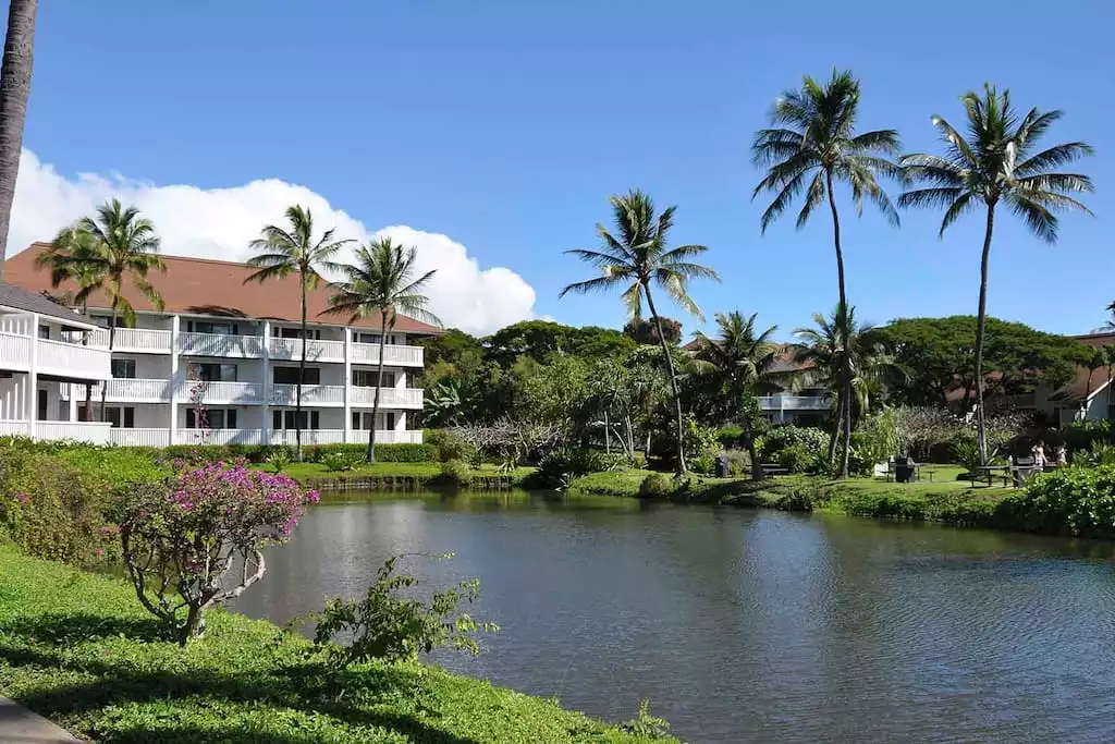 The grounds of Kiahuna are unique and unmatched in its expanse and beauty. - KAUAI | OCEANVIEW | POIPU BEACH IS YOUR BACKYARD - Koloa