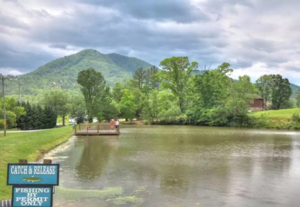 Catch and release private pond open year-round Catch and release private pond open year-round - Logging Out Cabin - Sevierville