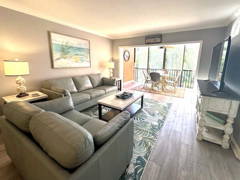 Living room - 65" TV, sleeper sofa
