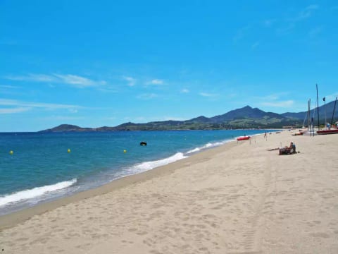 Les Pins Parasols
