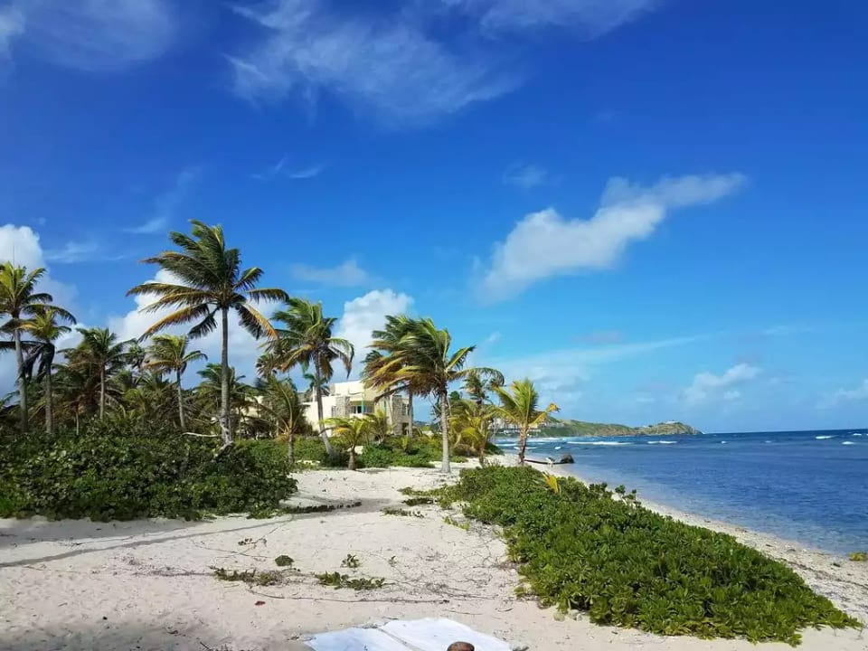 There are some great reefs just off the beach close to the condo that make for a great snorkeling experience. There is a area for swimming just to the west down the cove, close to the hotel and restaurant area.