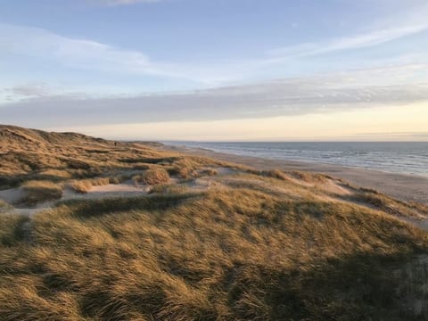 "Finna" - 1km from the sea