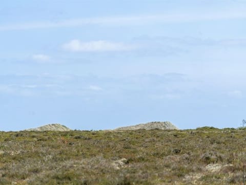 "Hrefna" - 350m from the sea