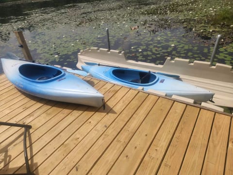 Bring your own Kayaks for rent from Harolds Resort Livery LLC and  they will be waiting for you !