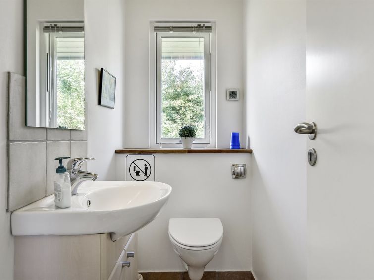 elfi-30m-from-the-sea/