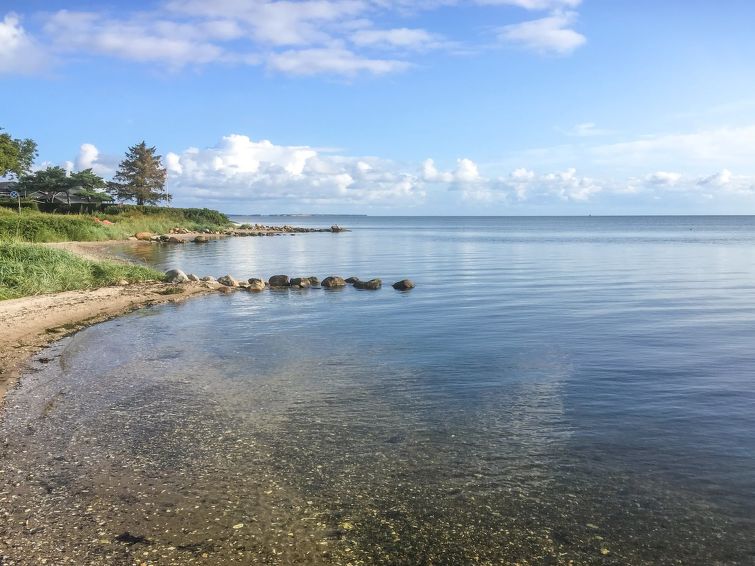 regni-300m-to-the-fjord/