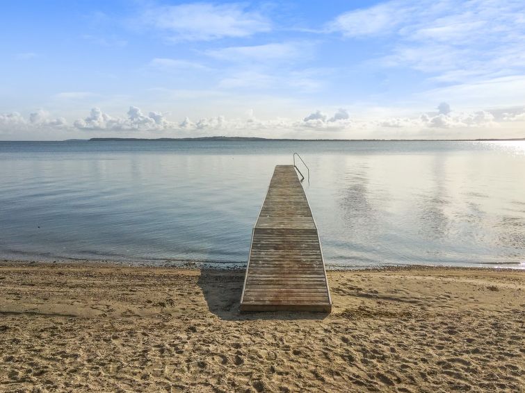 regni-300m-to-the-fjord/