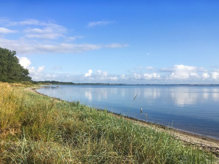 regni-300m-to-the-fjord/