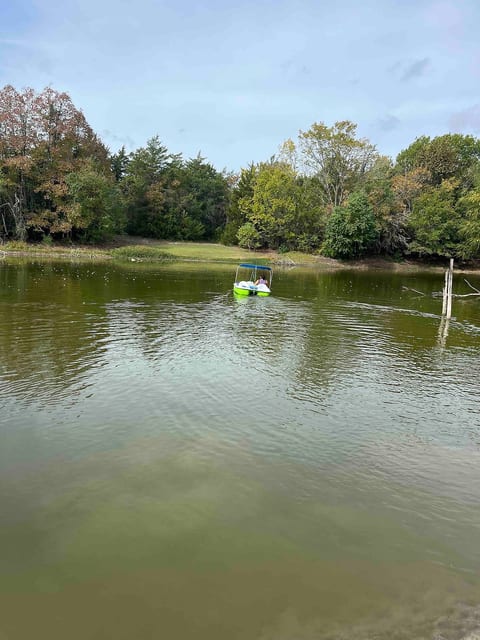 Secluded, prvt fishing-firepit-paddlboat-KING bed image 1